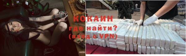 ешки Арсеньев
